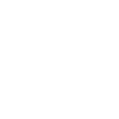 github-icon