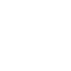 linked-in-icon